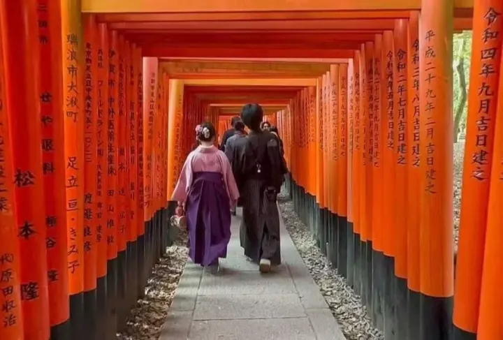Disiplinin İki Yüzü: Japonya'da Onur, İtaat ve Alışveriş Poşetleri...