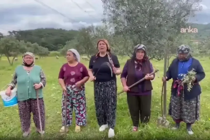 Nejla Işık’ın 1 Mayıs mesajı...