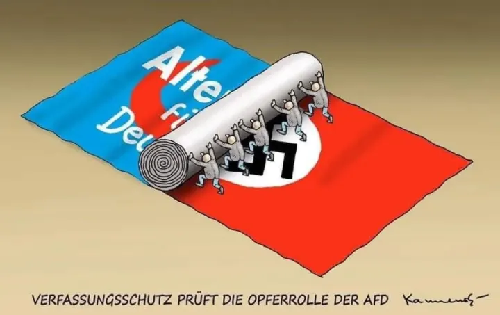 AFD’nin yükselişi ne anlatıyor?