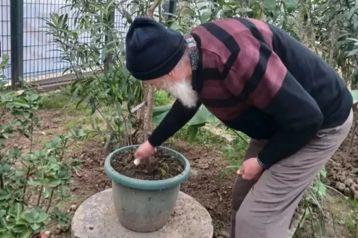 Işıklar içinde uyu...