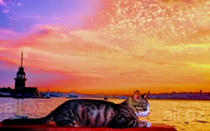 "İstanbul yaşayan bir masaldır"