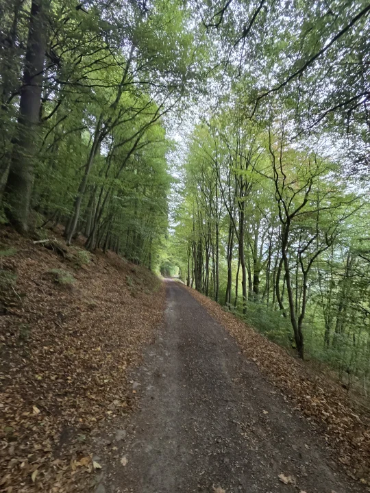 Yarım Kalan Hikayeler...