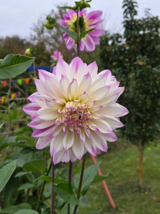 Babalar ve Oğullar Arasındaki Sessiz Miras...