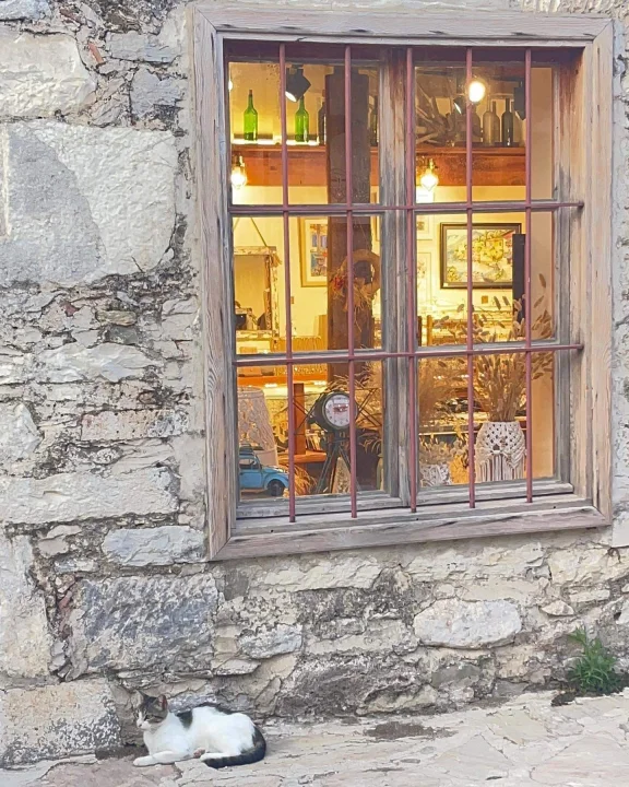 İyilik Bir Direniştir...