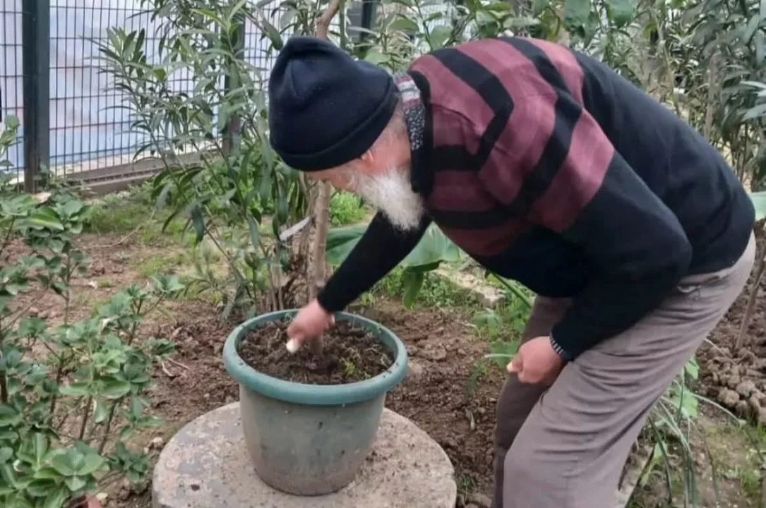 Işıklar içinde uyu...