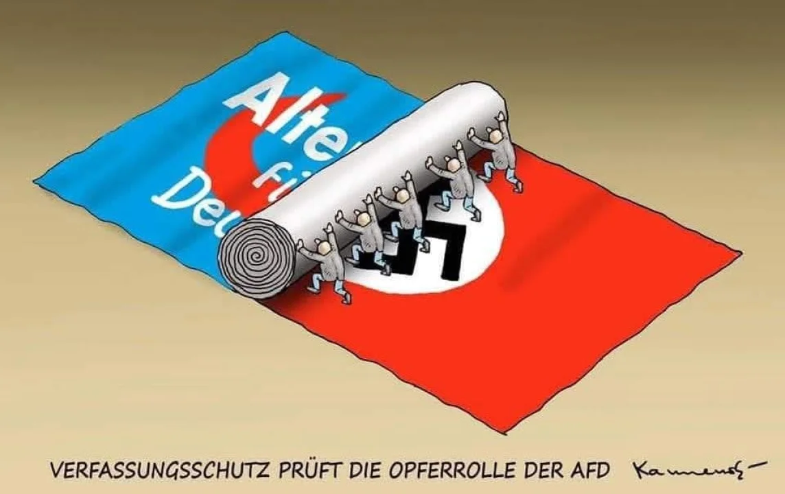 Almanya'da aşırı sağcı AFD'nin 