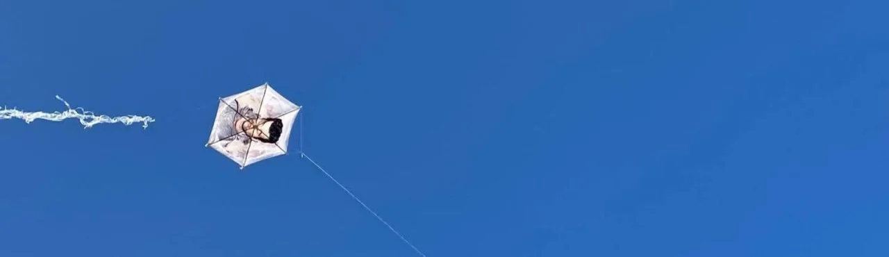 Yine bir gün dönsem geri...