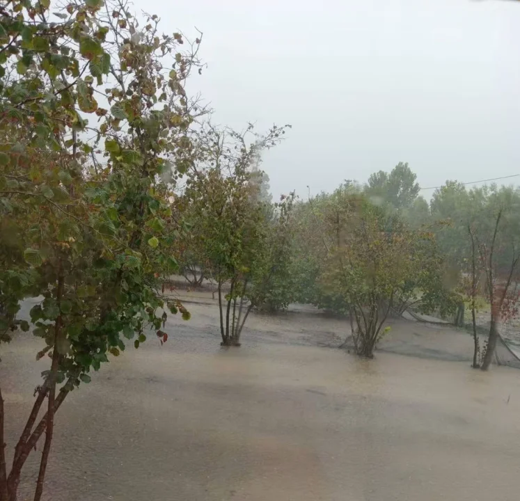 Terme ve Çarşamba Çiftçisinin Ahı DSİ'nin yetersiz Kanallarında Boğuluyor...