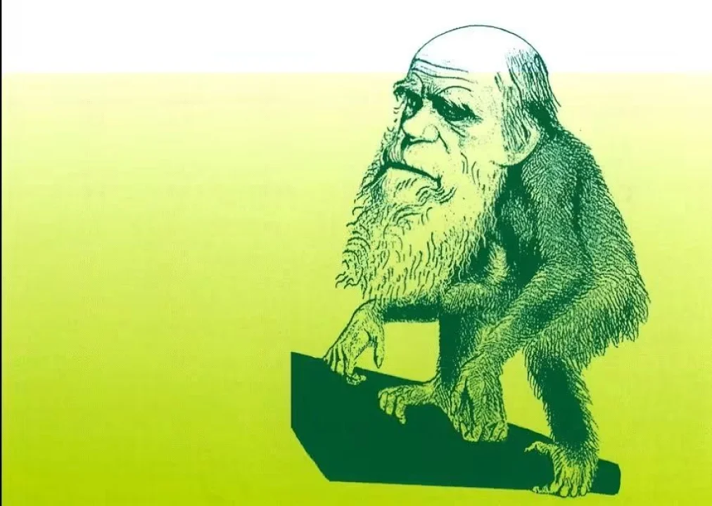 Darwin, Doğa ve Anlam Arayışımız...