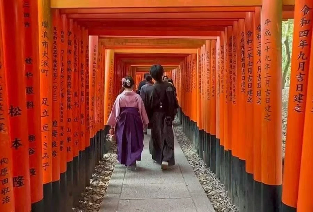 Disiplinin İki Yüzü: Japonya'da Onur, İtaat ve Alışveriş Poşetleri...
