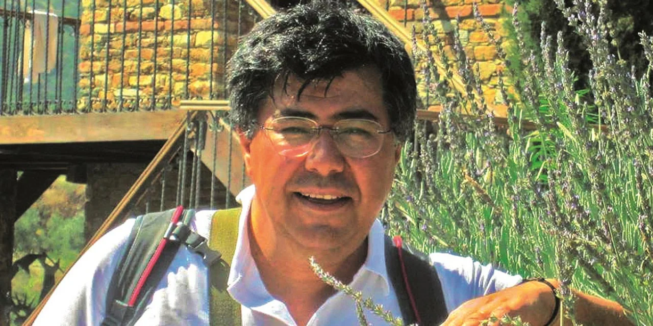 İnsan bedeni, güzellik endüstrisi ve dijital pazar...